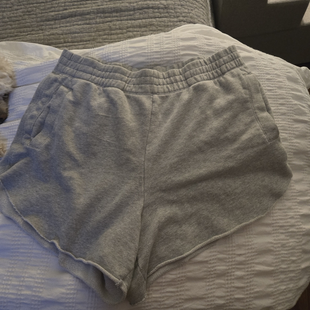 Aerie Gray Casual Shorts Size L (Read Description)